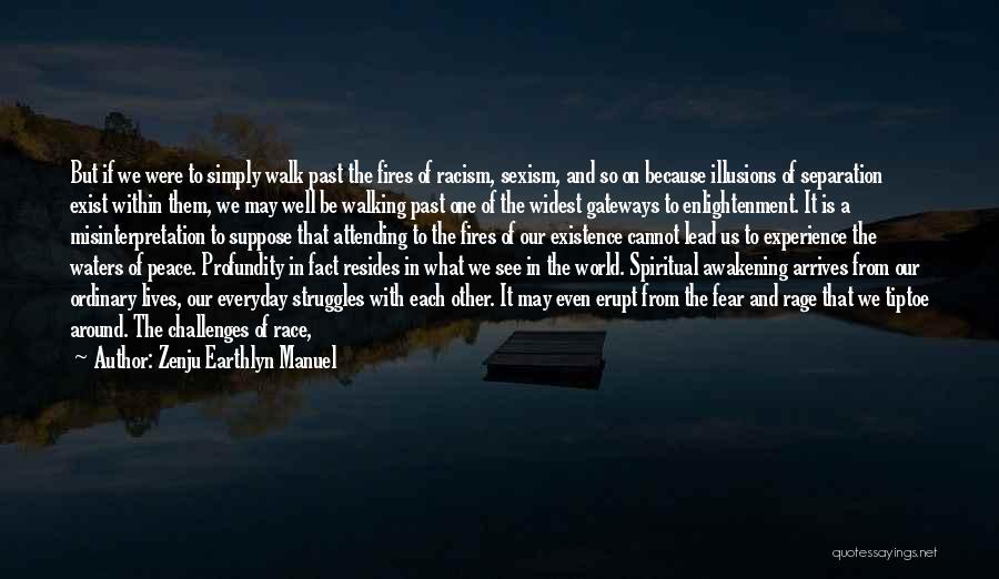 Zenju Earthlyn Manuel Quotes: But If We Were To Simply Walk Past The Fires Of Racism, Sexism, And So On Because Illusions Of Separation