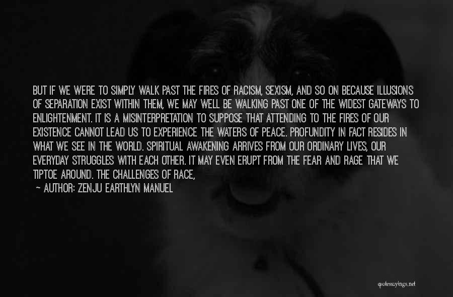 Zenju Earthlyn Manuel Quotes: But If We Were To Simply Walk Past The Fires Of Racism, Sexism, And So On Because Illusions Of Separation