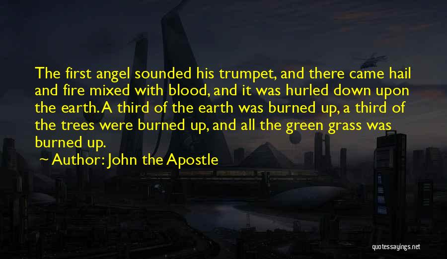 John The Apostle Quotes: The First Angel Sounded His Trumpet, And There Came Hail And Fire Mixed With Blood, And It Was Hurled Down