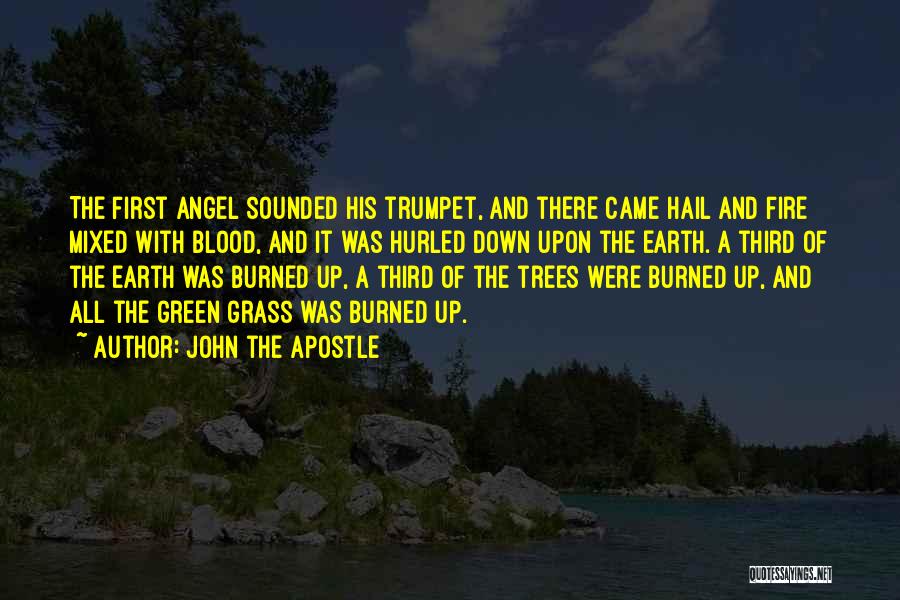 John The Apostle Quotes: The First Angel Sounded His Trumpet, And There Came Hail And Fire Mixed With Blood, And It Was Hurled Down