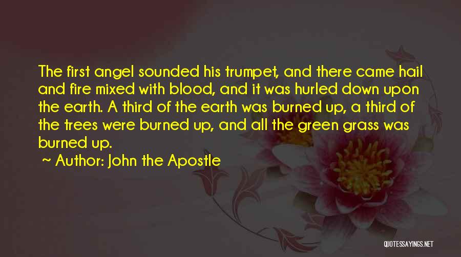 John The Apostle Quotes: The First Angel Sounded His Trumpet, And There Came Hail And Fire Mixed With Blood, And It Was Hurled Down