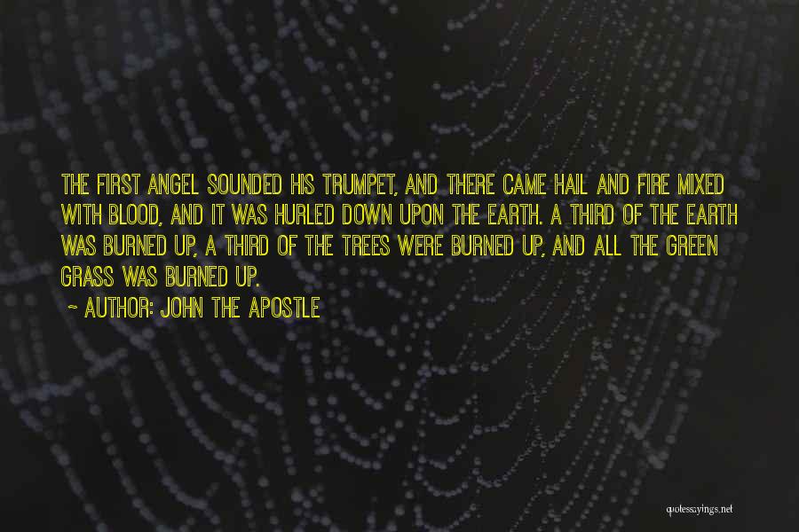 John The Apostle Quotes: The First Angel Sounded His Trumpet, And There Came Hail And Fire Mixed With Blood, And It Was Hurled Down