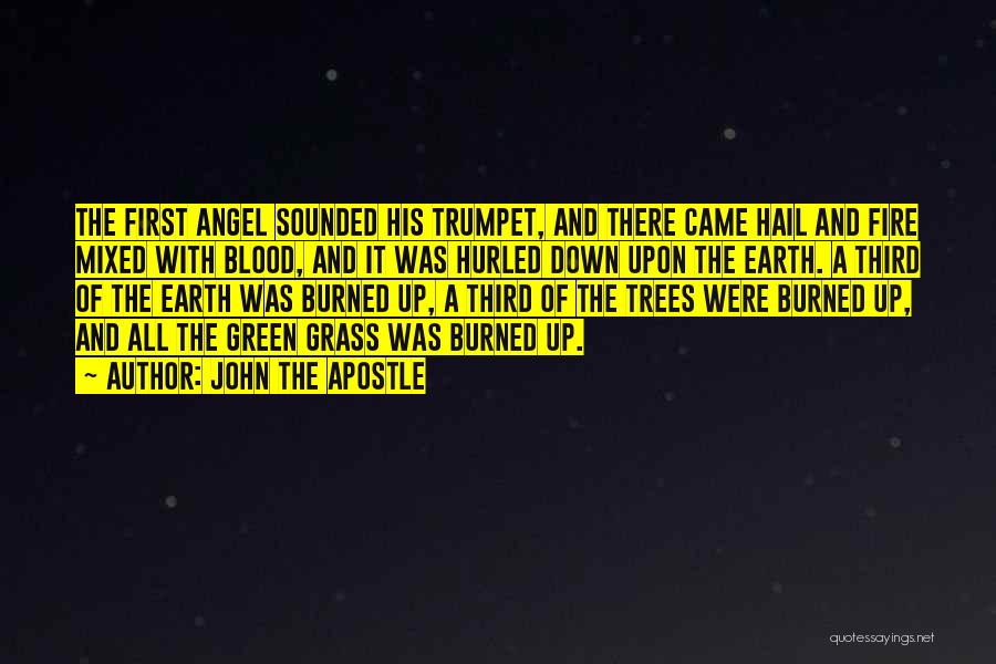 John The Apostle Quotes: The First Angel Sounded His Trumpet, And There Came Hail And Fire Mixed With Blood, And It Was Hurled Down