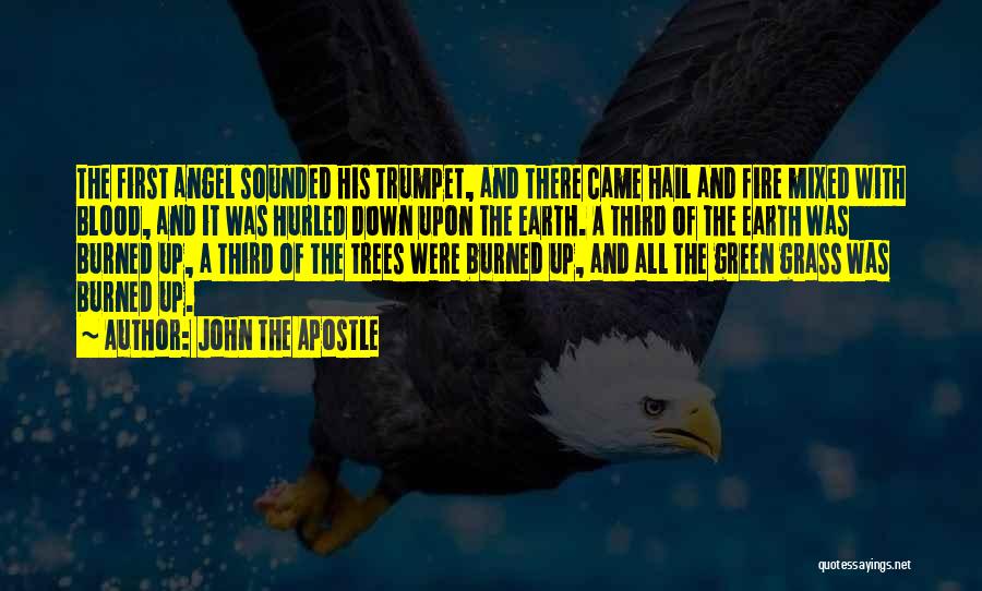 John The Apostle Quotes: The First Angel Sounded His Trumpet, And There Came Hail And Fire Mixed With Blood, And It Was Hurled Down