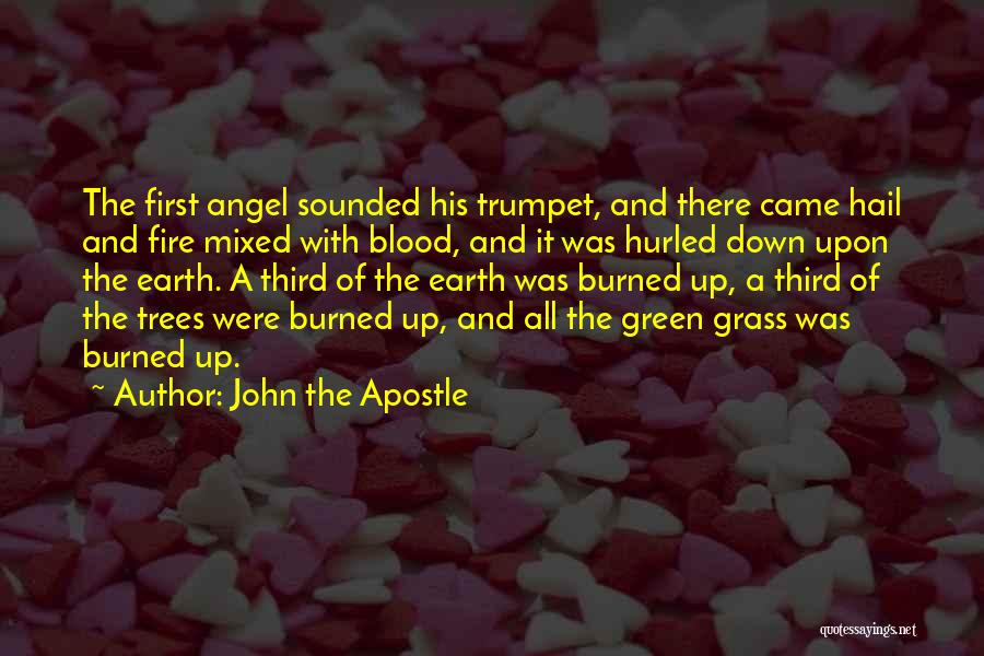 John The Apostle Quotes: The First Angel Sounded His Trumpet, And There Came Hail And Fire Mixed With Blood, And It Was Hurled Down