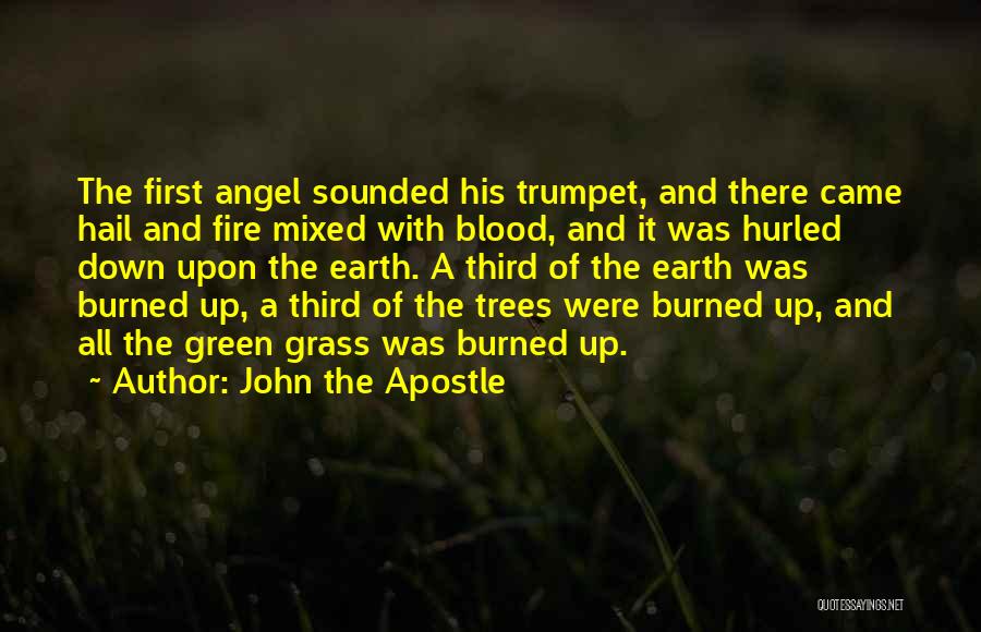 John The Apostle Quotes: The First Angel Sounded His Trumpet, And There Came Hail And Fire Mixed With Blood, And It Was Hurled Down