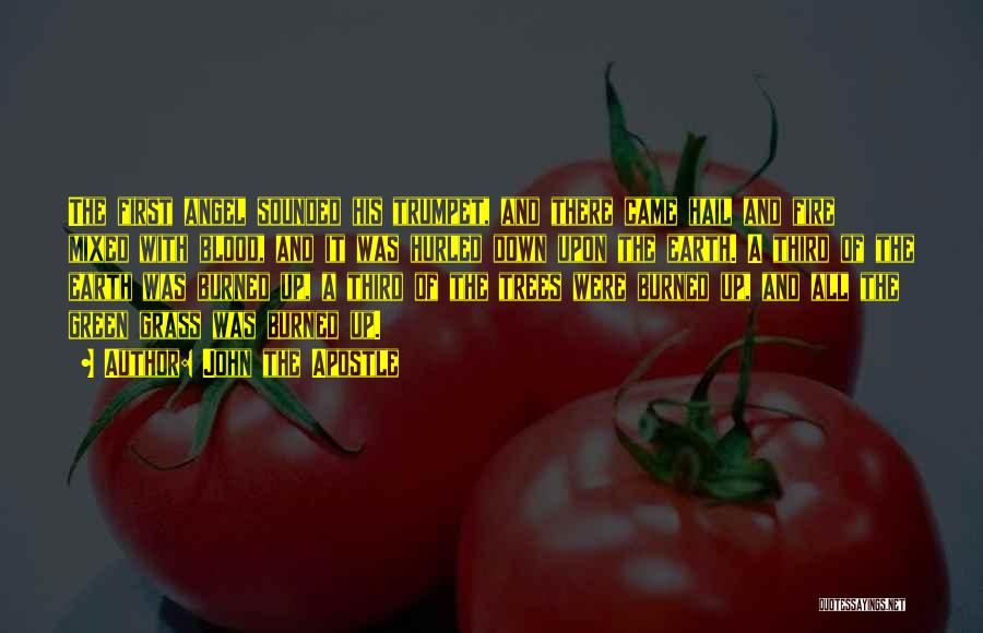 John The Apostle Quotes: The First Angel Sounded His Trumpet, And There Came Hail And Fire Mixed With Blood, And It Was Hurled Down