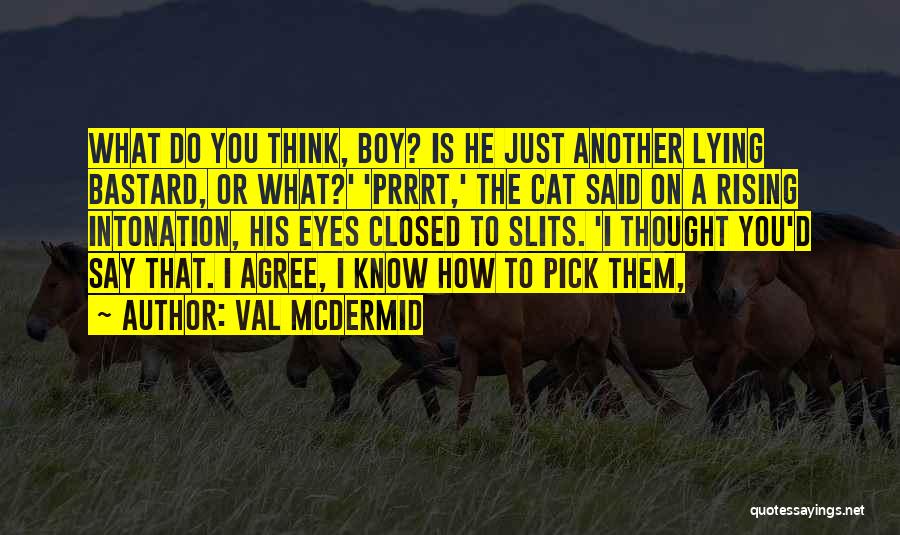 Val McDermid Quotes: What Do You Think, Boy? Is He Just Another Lying Bastard, Or What?' 'prrrt,' The Cat Said On A Rising