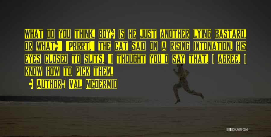 Val McDermid Quotes: What Do You Think, Boy? Is He Just Another Lying Bastard, Or What?' 'prrrt,' The Cat Said On A Rising