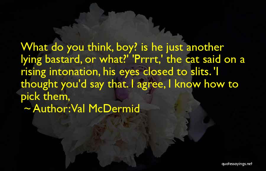 Val McDermid Quotes: What Do You Think, Boy? Is He Just Another Lying Bastard, Or What?' 'prrrt,' The Cat Said On A Rising