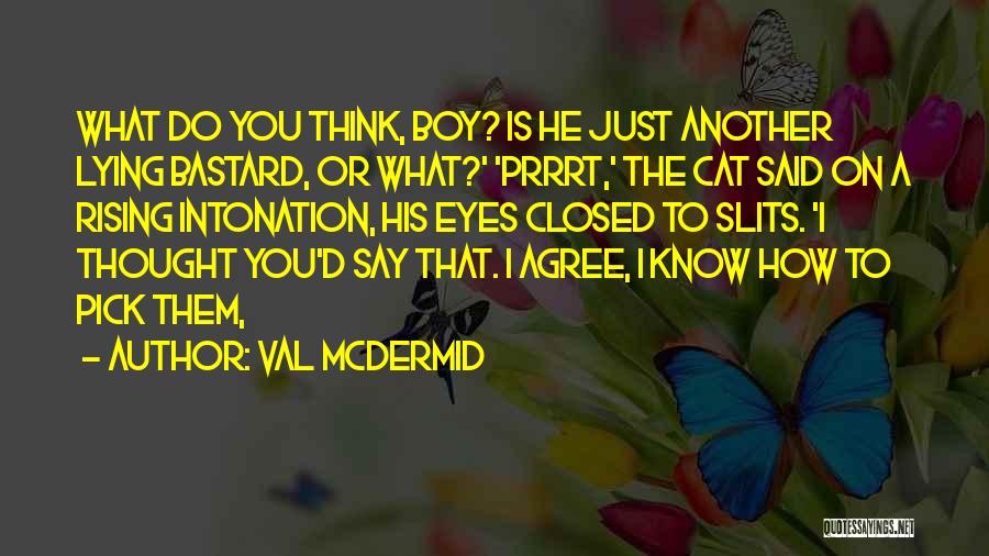 Val McDermid Quotes: What Do You Think, Boy? Is He Just Another Lying Bastard, Or What?' 'prrrt,' The Cat Said On A Rising