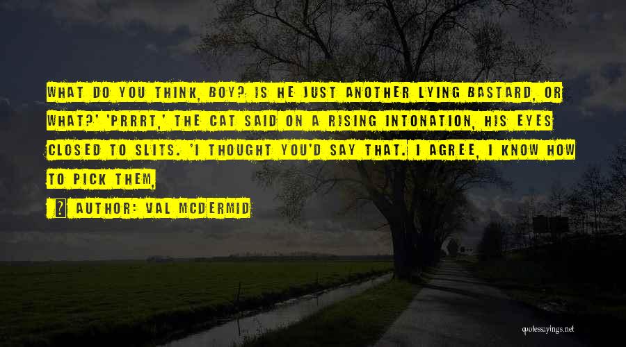 Val McDermid Quotes: What Do You Think, Boy? Is He Just Another Lying Bastard, Or What?' 'prrrt,' The Cat Said On A Rising