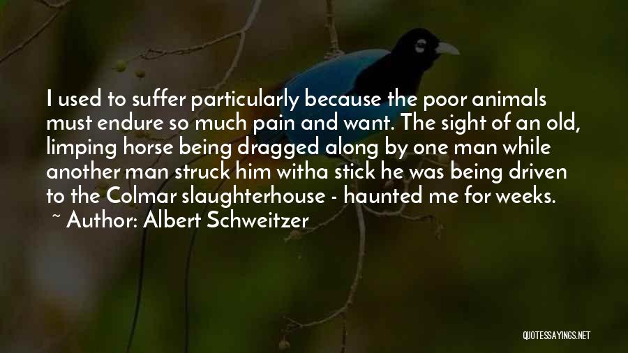 Albert Schweitzer Quotes: I Used To Suffer Particularly Because The Poor Animals Must Endure So Much Pain And Want. The Sight Of An