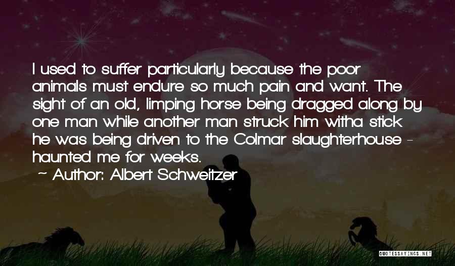 Albert Schweitzer Quotes: I Used To Suffer Particularly Because The Poor Animals Must Endure So Much Pain And Want. The Sight Of An