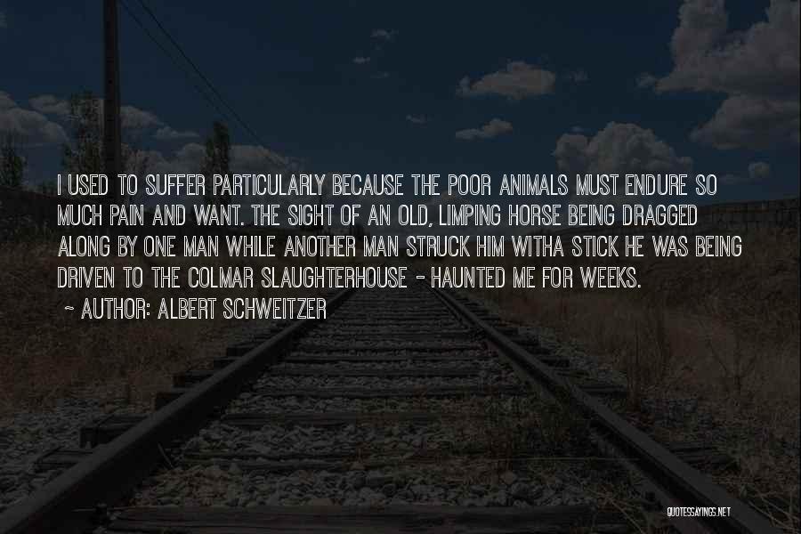 Albert Schweitzer Quotes: I Used To Suffer Particularly Because The Poor Animals Must Endure So Much Pain And Want. The Sight Of An