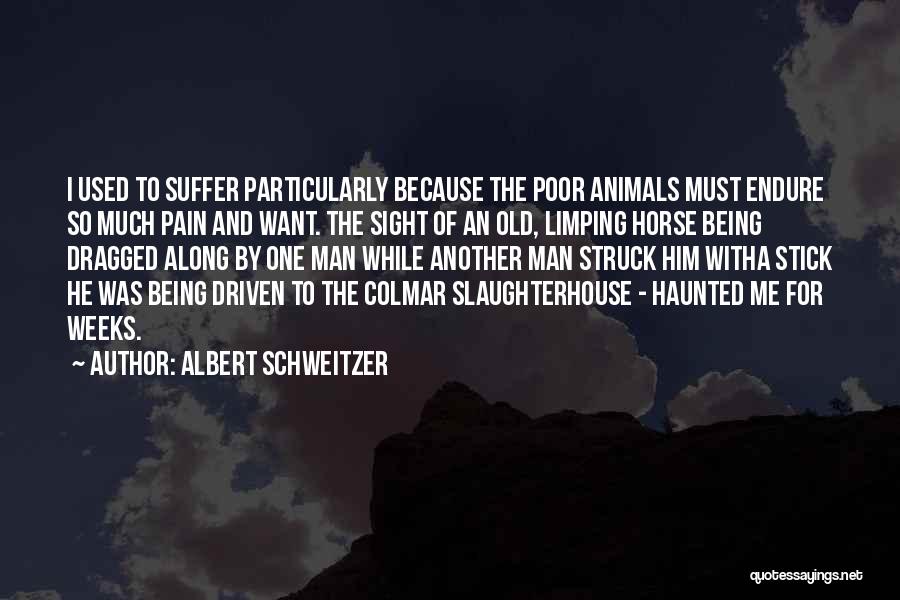 Albert Schweitzer Quotes: I Used To Suffer Particularly Because The Poor Animals Must Endure So Much Pain And Want. The Sight Of An