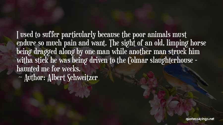 Albert Schweitzer Quotes: I Used To Suffer Particularly Because The Poor Animals Must Endure So Much Pain And Want. The Sight Of An