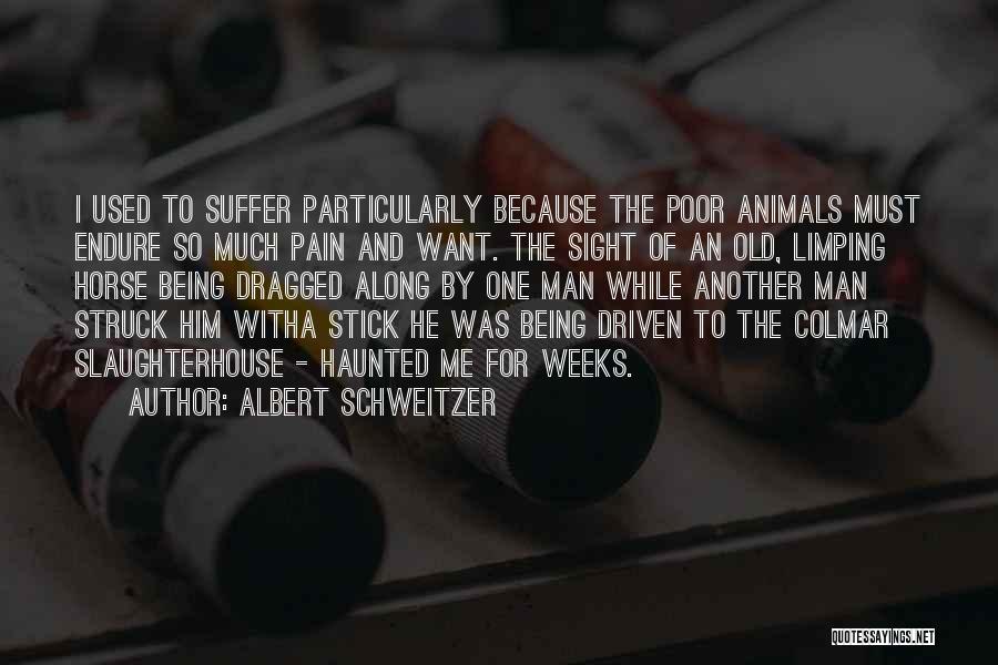 Albert Schweitzer Quotes: I Used To Suffer Particularly Because The Poor Animals Must Endure So Much Pain And Want. The Sight Of An