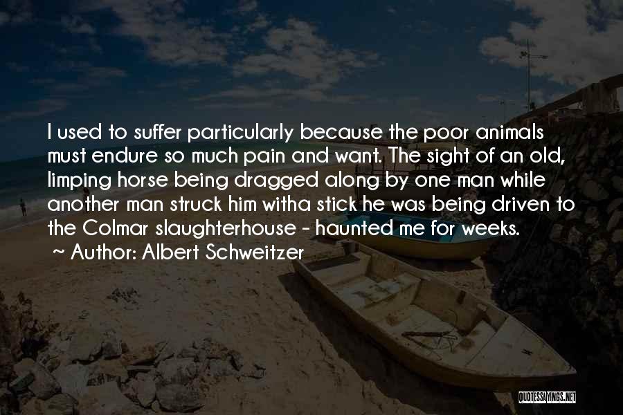 Albert Schweitzer Quotes: I Used To Suffer Particularly Because The Poor Animals Must Endure So Much Pain And Want. The Sight Of An