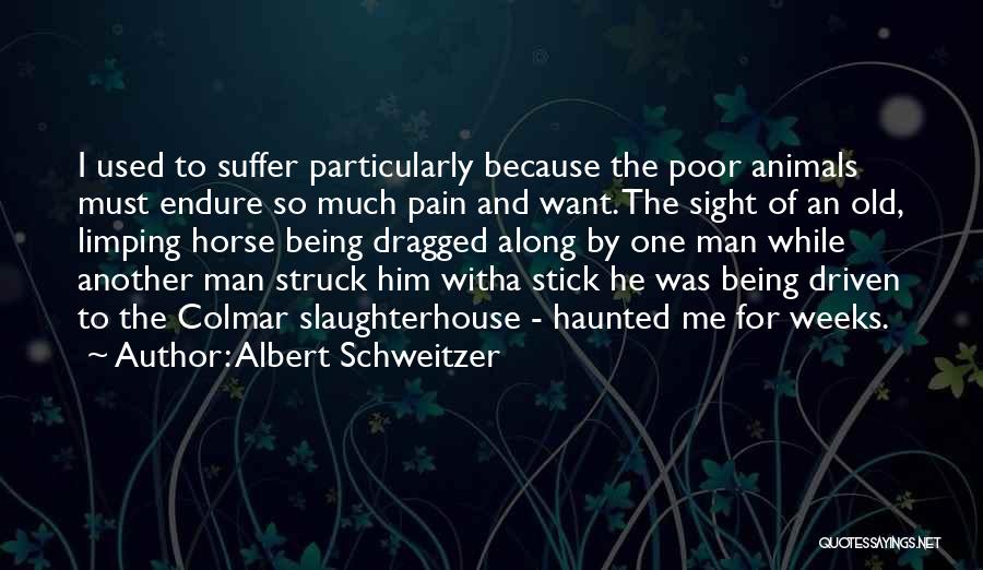 Albert Schweitzer Quotes: I Used To Suffer Particularly Because The Poor Animals Must Endure So Much Pain And Want. The Sight Of An