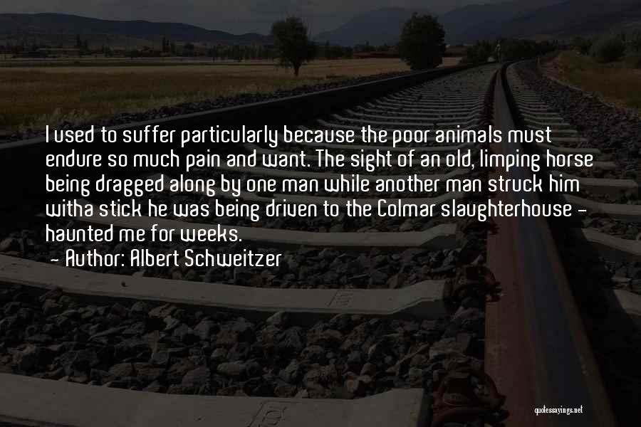 Albert Schweitzer Quotes: I Used To Suffer Particularly Because The Poor Animals Must Endure So Much Pain And Want. The Sight Of An