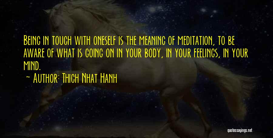 Thich Nhat Hanh Quotes: Being In Touch With Oneself Is The Meaning Of Meditation, To Be Aware Of What Is Going On In Your