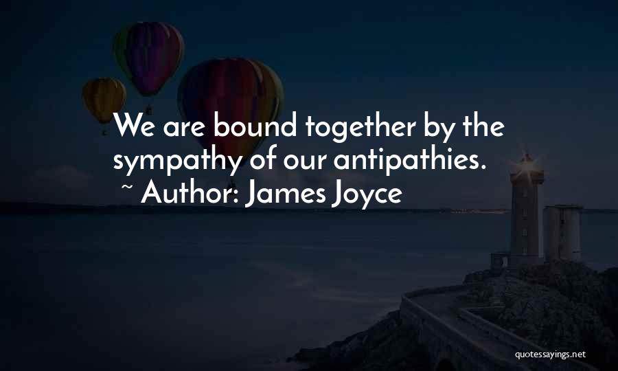 James Joyce Quotes: We Are Bound Together By The Sympathy Of Our Antipathies.