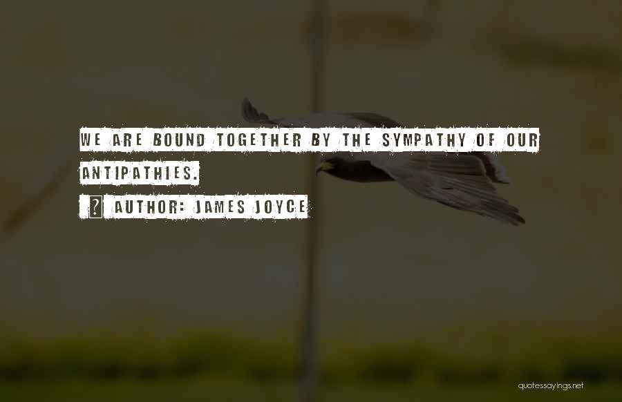 James Joyce Quotes: We Are Bound Together By The Sympathy Of Our Antipathies.