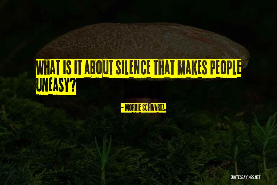 1312 Quotes By Morrie Schwartz.