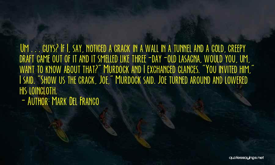 Mark Del Franco Quotes: Um . . . Guys? If I, Say, Noticed A Crack In A Wall In A Tunnel And A Cold,