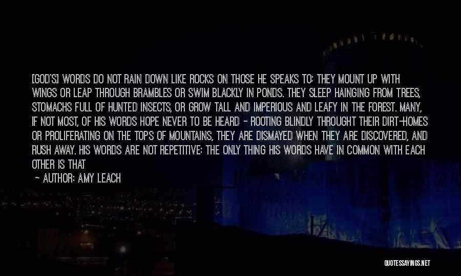 Amy Leach Quotes: [god's] Words Do Not Rain Down Like Rocks On Those He Speaks To; They Mount Up With Wings Or Leap