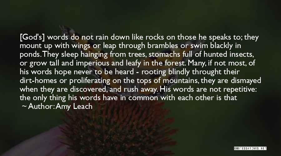 Amy Leach Quotes: [god's] Words Do Not Rain Down Like Rocks On Those He Speaks To; They Mount Up With Wings Or Leap