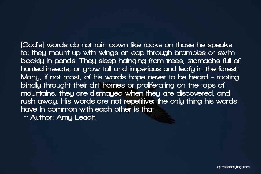 Amy Leach Quotes: [god's] Words Do Not Rain Down Like Rocks On Those He Speaks To; They Mount Up With Wings Or Leap