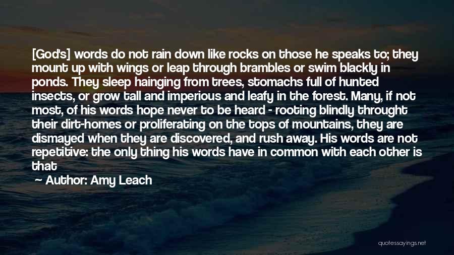 Amy Leach Quotes: [god's] Words Do Not Rain Down Like Rocks On Those He Speaks To; They Mount Up With Wings Or Leap