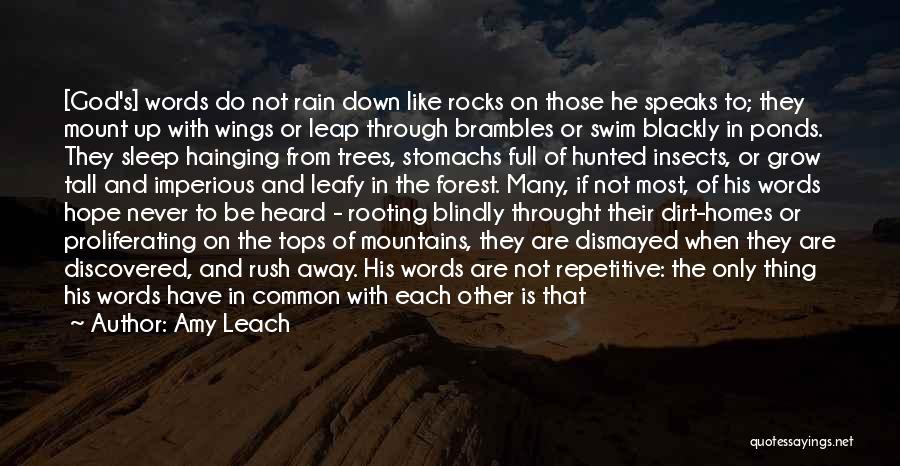 Amy Leach Quotes: [god's] Words Do Not Rain Down Like Rocks On Those He Speaks To; They Mount Up With Wings Or Leap