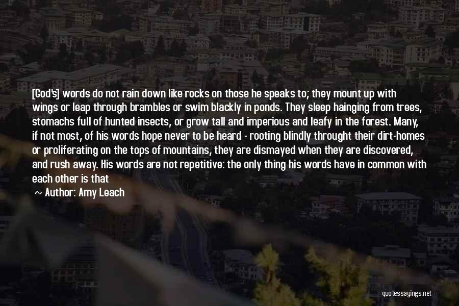 Amy Leach Quotes: [god's] Words Do Not Rain Down Like Rocks On Those He Speaks To; They Mount Up With Wings Or Leap