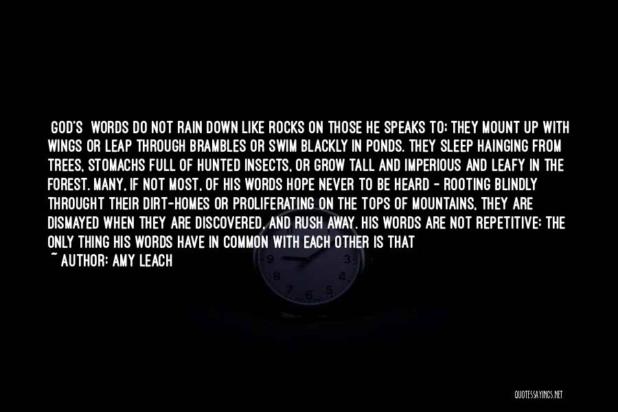 Amy Leach Quotes: [god's] Words Do Not Rain Down Like Rocks On Those He Speaks To; They Mount Up With Wings Or Leap