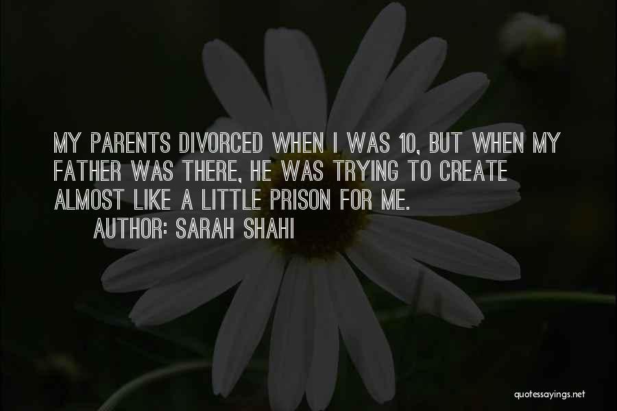 Sarah Shahi Quotes: My Parents Divorced When I Was 10, But When My Father Was There, He Was Trying To Create Almost Like