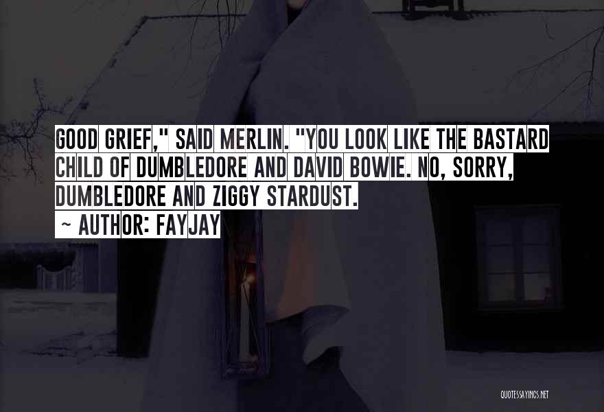 FayJay Quotes: Good Grief, Said Merlin. You Look Like The Bastard Child Of Dumbledore And David Bowie. No, Sorry, Dumbledore And Ziggy