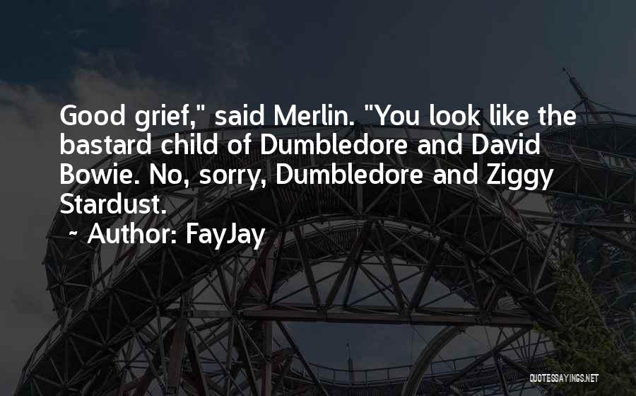 FayJay Quotes: Good Grief, Said Merlin. You Look Like The Bastard Child Of Dumbledore And David Bowie. No, Sorry, Dumbledore And Ziggy