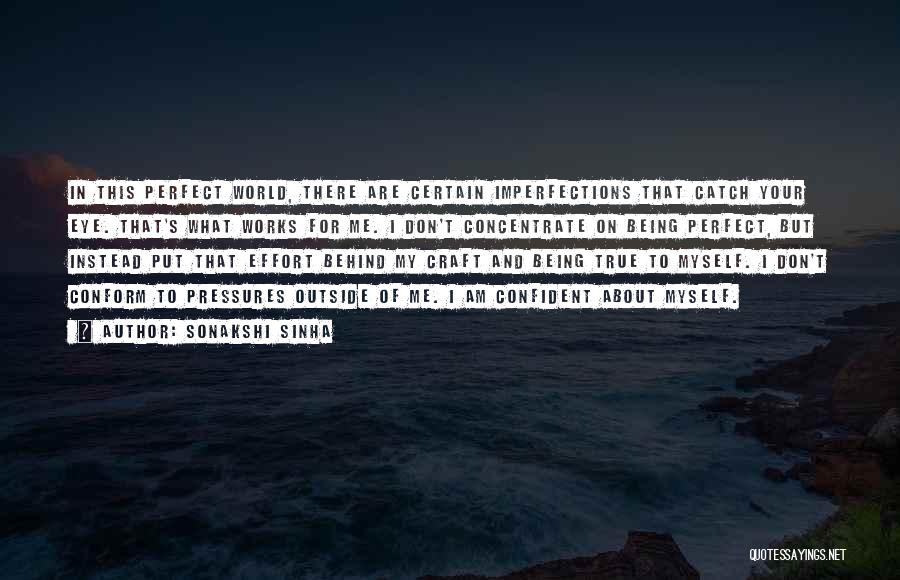 Sonakshi Sinha Quotes: In This Perfect World, There Are Certain Imperfections That Catch Your Eye. That's What Works For Me. I Don't Concentrate