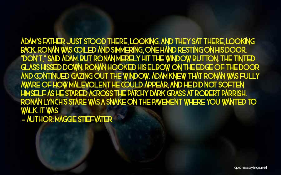 Maggie Stiefvater Quotes: Adam's Father Just Stood There, Looking. And They Sat There, Looking Back. Ronan Was Coiled And Simmering, One Hand Resting