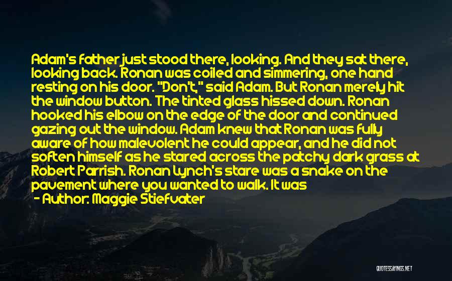 Maggie Stiefvater Quotes: Adam's Father Just Stood There, Looking. And They Sat There, Looking Back. Ronan Was Coiled And Simmering, One Hand Resting