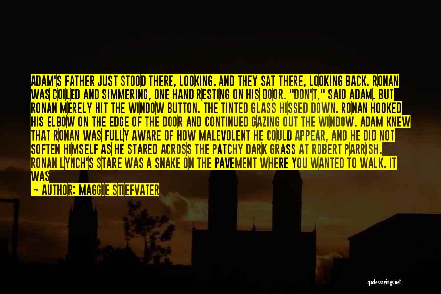 Maggie Stiefvater Quotes: Adam's Father Just Stood There, Looking. And They Sat There, Looking Back. Ronan Was Coiled And Simmering, One Hand Resting