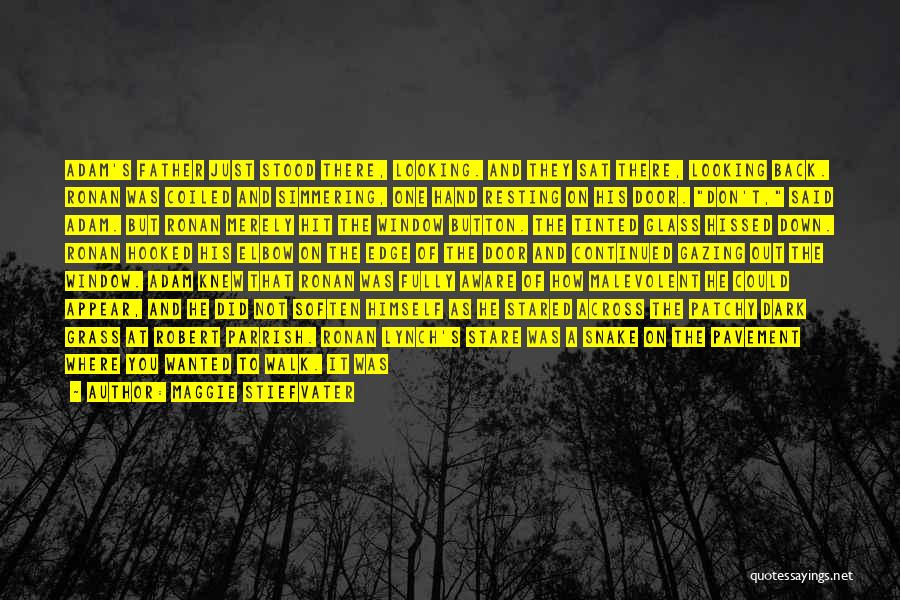 Maggie Stiefvater Quotes: Adam's Father Just Stood There, Looking. And They Sat There, Looking Back. Ronan Was Coiled And Simmering, One Hand Resting