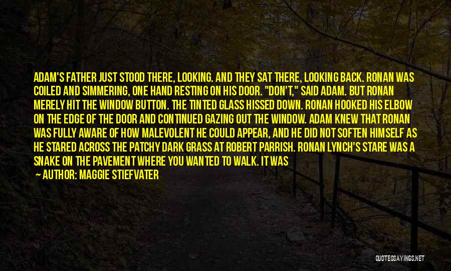 Maggie Stiefvater Quotes: Adam's Father Just Stood There, Looking. And They Sat There, Looking Back. Ronan Was Coiled And Simmering, One Hand Resting