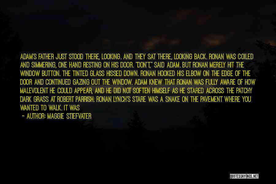 Maggie Stiefvater Quotes: Adam's Father Just Stood There, Looking. And They Sat There, Looking Back. Ronan Was Coiled And Simmering, One Hand Resting