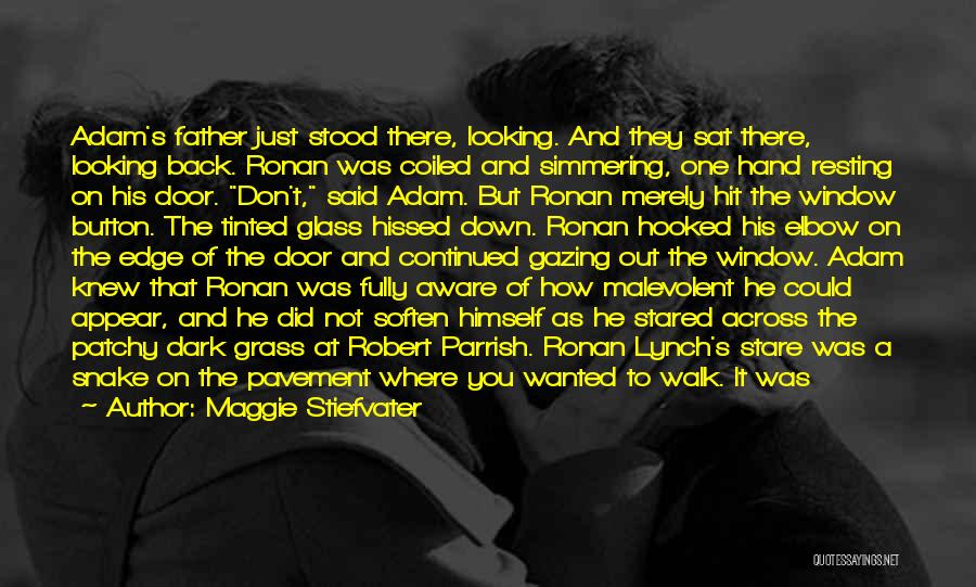 Maggie Stiefvater Quotes: Adam's Father Just Stood There, Looking. And They Sat There, Looking Back. Ronan Was Coiled And Simmering, One Hand Resting