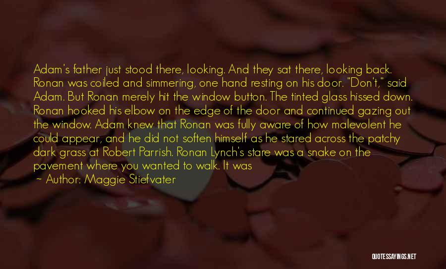 Maggie Stiefvater Quotes: Adam's Father Just Stood There, Looking. And They Sat There, Looking Back. Ronan Was Coiled And Simmering, One Hand Resting