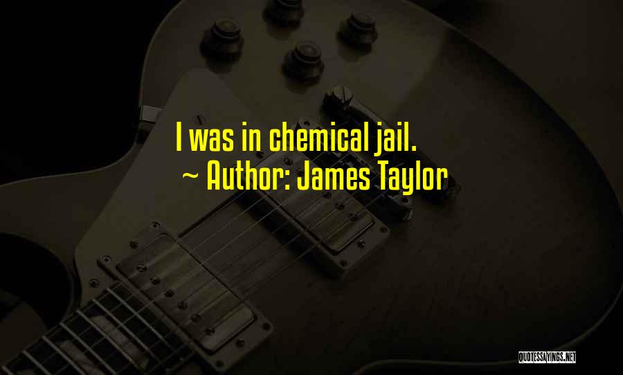 James Taylor Quotes: I Was In Chemical Jail.
